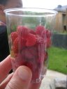 framboises.JPG
